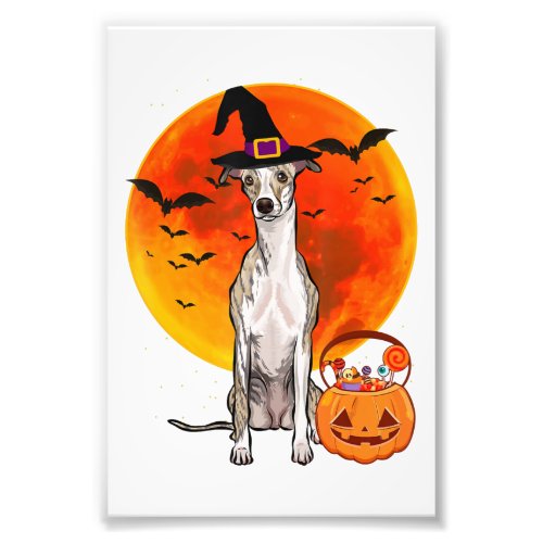 Dog Halloween Whippet Jack O Lantern Pumpkin Photo Print