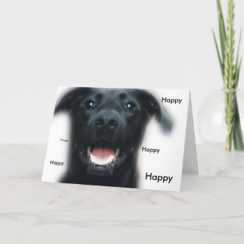 Dog Happy Birthday Card by KKHPhotosVarietyShop at Zazzle