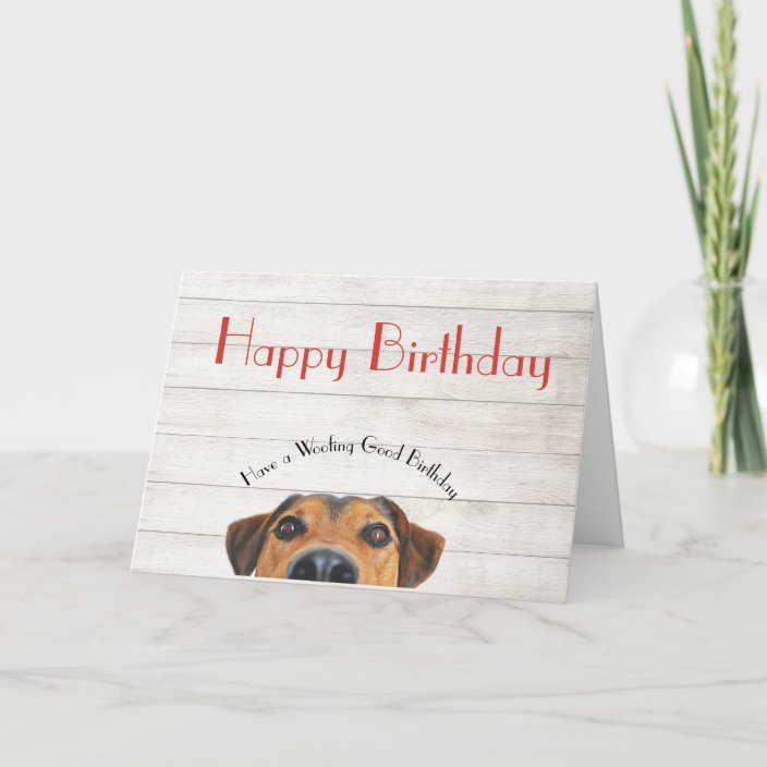 Dog Happy Birthday Funny Greeting Card Zazzle Com