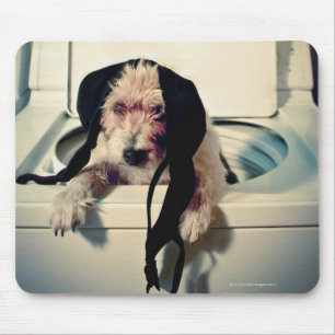 Dog helping out with the wash mouse pad