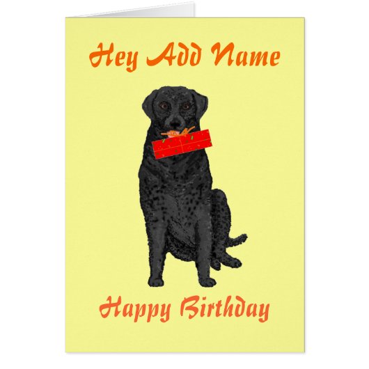 Dog Holding Birthday Present Cards (Front)