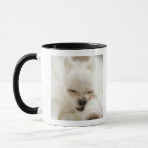 Dog holding toy in mouth mug
