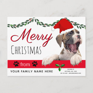 Dog Holiday Cards- From the Dog Christmas Cards
