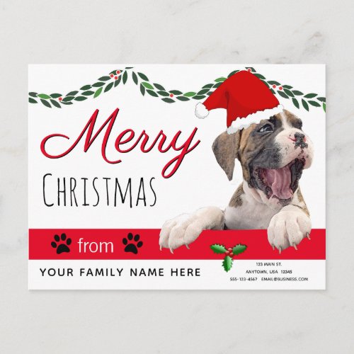 Dog Holiday Cards_ From the Dog Christmas Cards