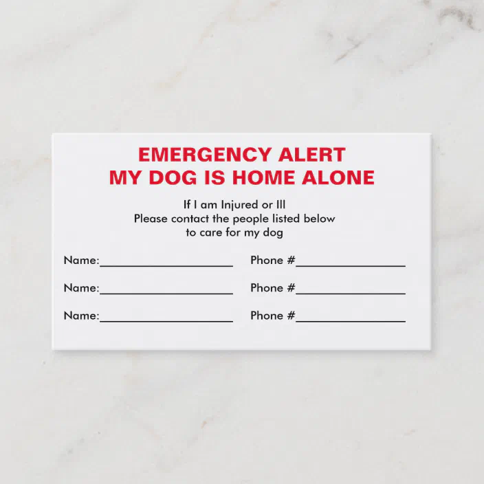 Dog Home Alone Emergency Contact Card Zazzle Com
