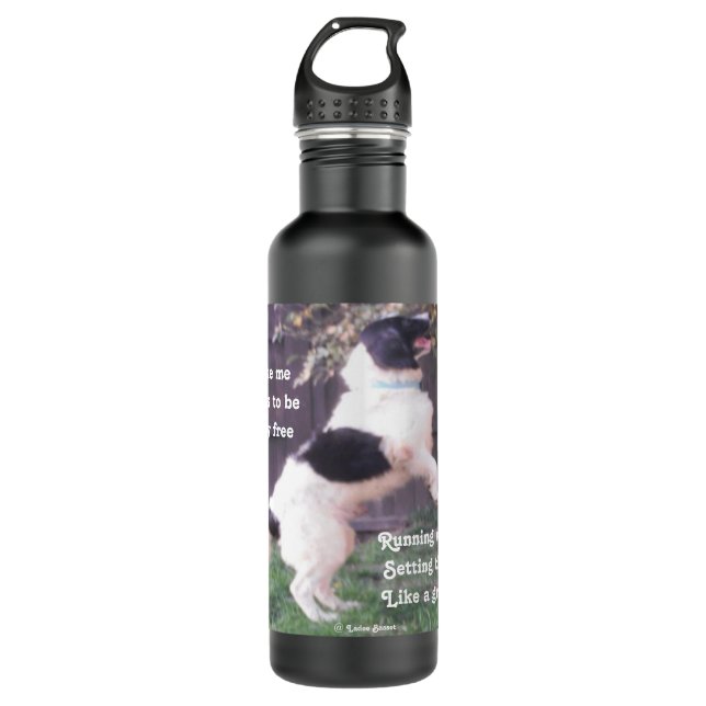 Dog Horse Poem By Ladee Basset Water Bottle (Front)