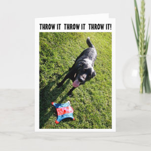 Dog humor birthday card