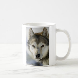 DOG husky Coffee Mug