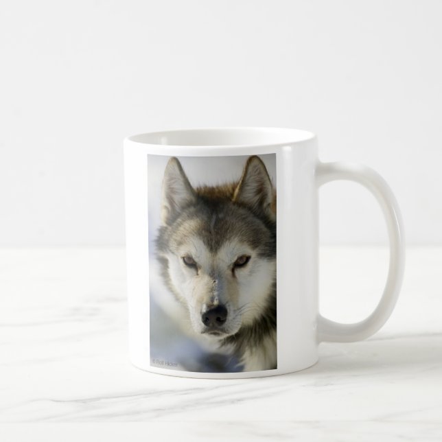 DOG husky Coffee Mug (Right)