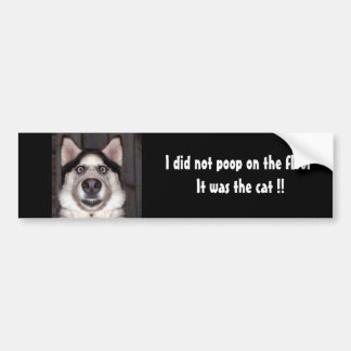Dog, I did not poop on the floor It was the cat !! Bumper Sticker