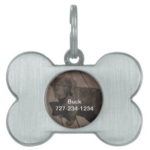 Dog ID Tag with Your Dog Photo and Information