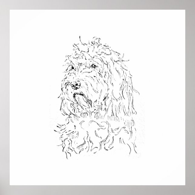 Dog Illustration, Wall Art Cockapoo (Front)