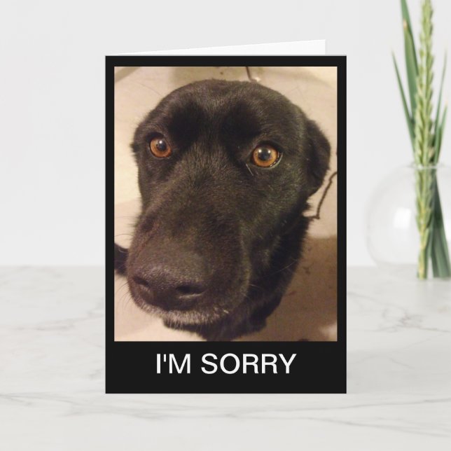 Dog I'M Sorry Greeting Card (Front)