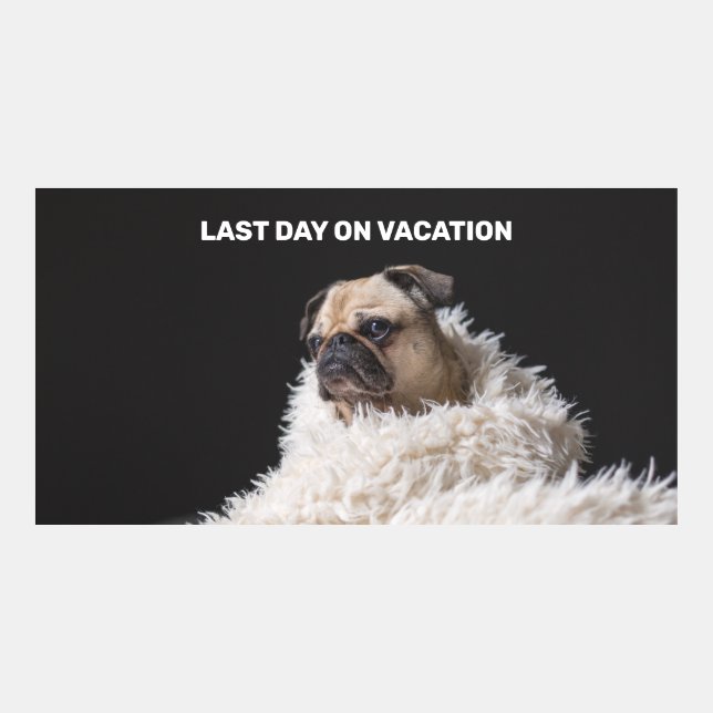Dog in a blanket on black background meme (Front)