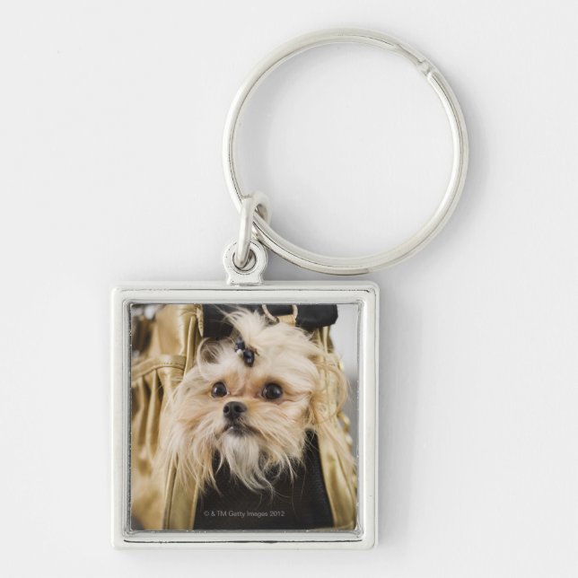 Dog in a purse keychain (Front)