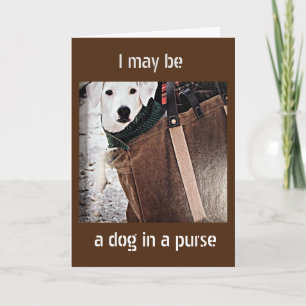 ***DOG IN A PURSE SAYS HAPPY THANKSGIVING*** CARD