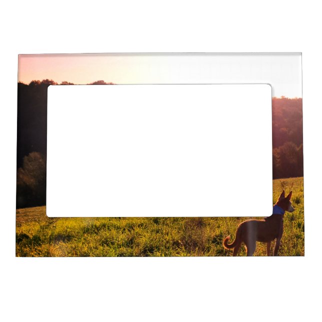 Dog in a Sunset Landscape Photography Magnetic Frame (Front)
