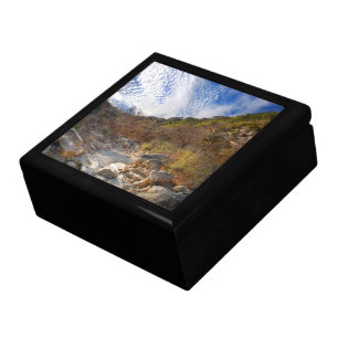Dog in Barton Creek Dry - Austin Texas Jewelry Box
