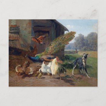 Dog In Chicken Coop Carl Jutz Postcard by mangomoonstudio at Zazzle