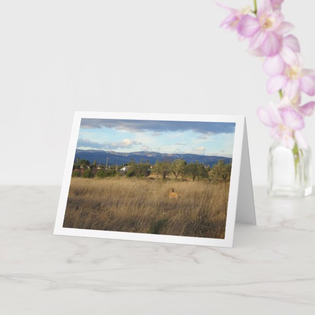 Dog in Countryside Landscape Card (Orchid)