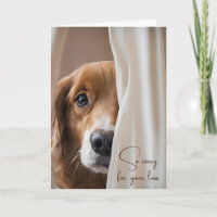 Dog In Curtain Pet Loss Sympathy