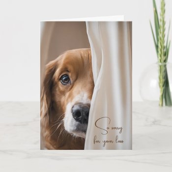 Dog In Curtain Pet Loss Sympathy Card by dryfhout at Zazzle
