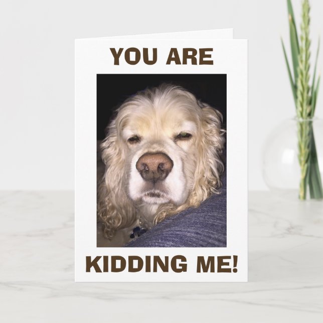 DOG IN DISBELIEF YOU'RE HAVING ANOTHER BIRTHDAY! CARD (Front)