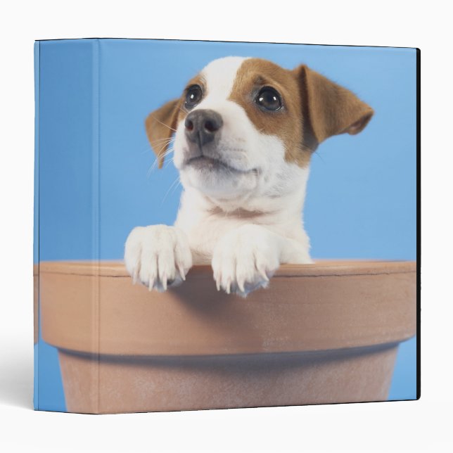 Dog in flowerpot binder (Front/Spine)