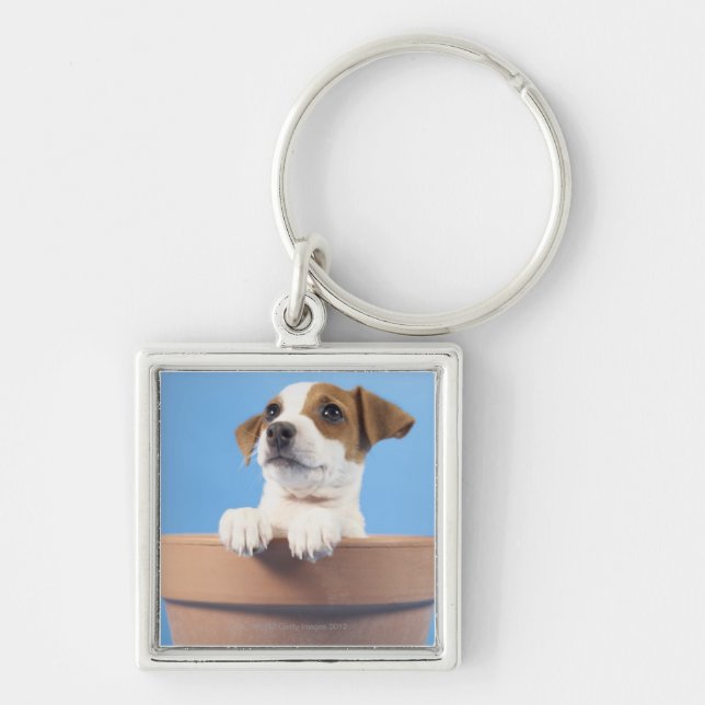 Dog in flowerpot keychain (Front)