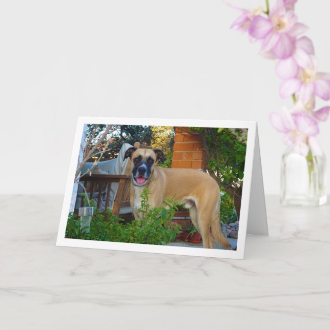 Dog in Garden Portrait Card (Orchid)