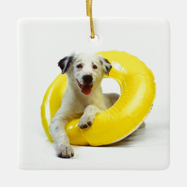 ***DOG IN INNER TUBE*** CHRISMAS ORNAMENT (Front)