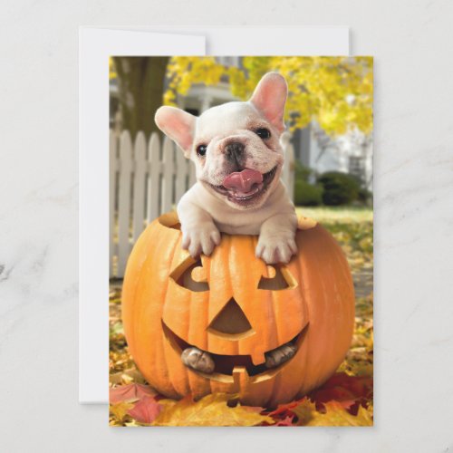 Dog in Jack_o_Lantern Invitation