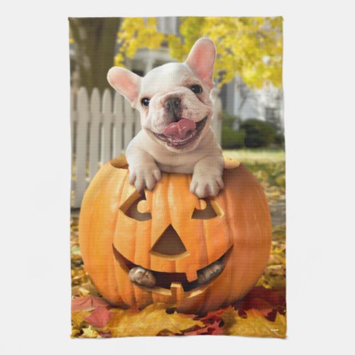 Dog in Jack_o_Lantern Kitchen Towel