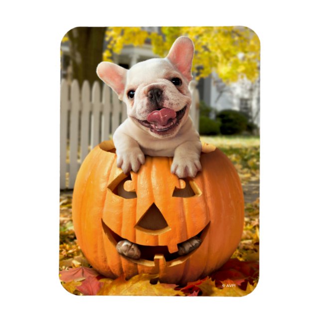 Dog in Jack-o-Lantern Magnet (Vertical)
