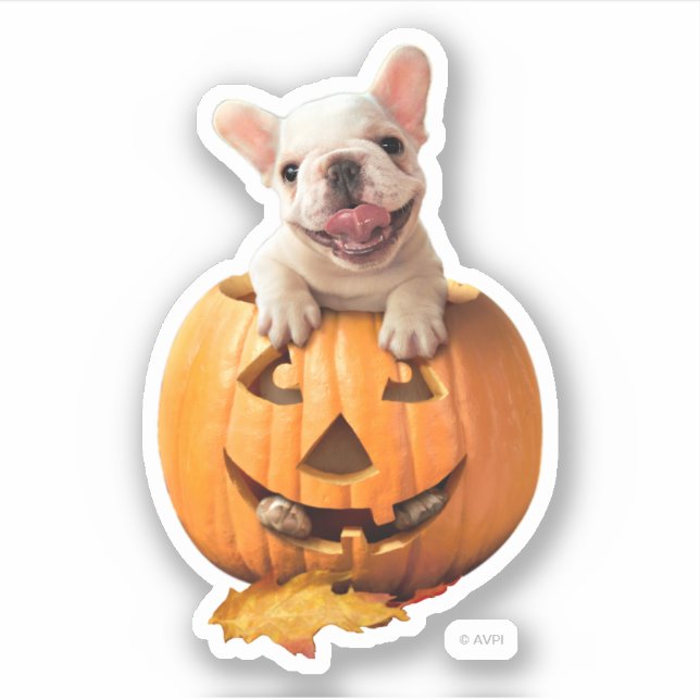 Dog in Jack-o-Lantern Sticker (Front)
