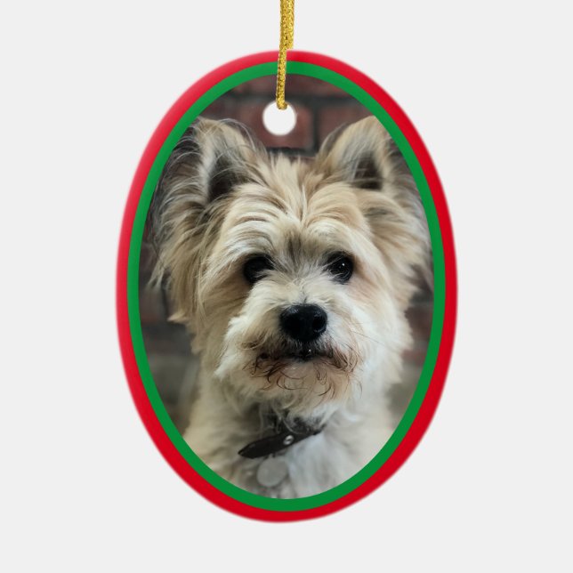 Dog In Memoriam Of Christmas Holiday Red Green Ceramic Ornament (Front)