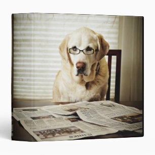Dog in morning routine 3 ring binder