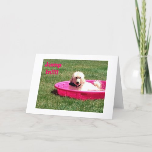 DOG IN POOL SAYS JUMP IN_HAVE FUN ON BIRTHDAY CARD