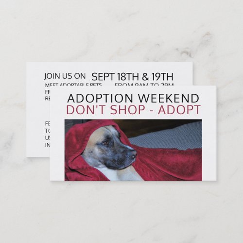 Dog in Red Blanket Pet Adoption Event Advertising Business Card