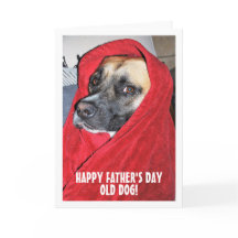 Dog in Red Blanket Portrait