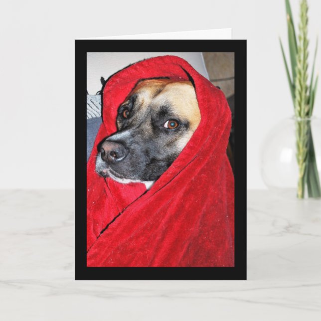 Dog in Red Blanket Portrait Card (Front)