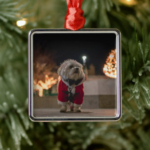 Dog in Santa costume Metal Ornament