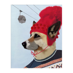 Dog in Ski Sweater Acrylic Print