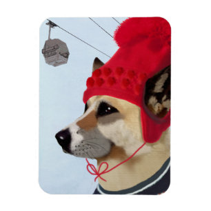 Dog in Ski Sweater Magnet