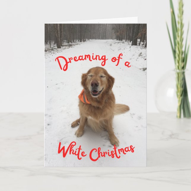 Dog in Snow Dreaming of White Christmas Card (Front)