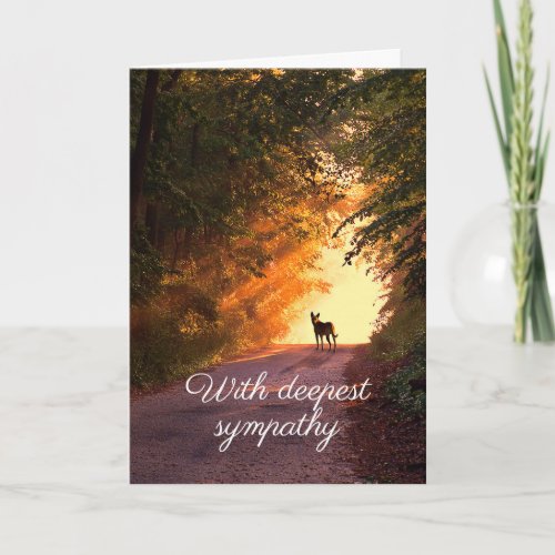 Dog in sunset sympathy card