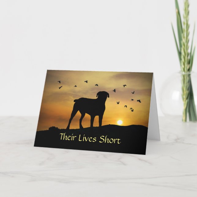 Dog in Sunset Sympathy Loss of Dog Card (Front)