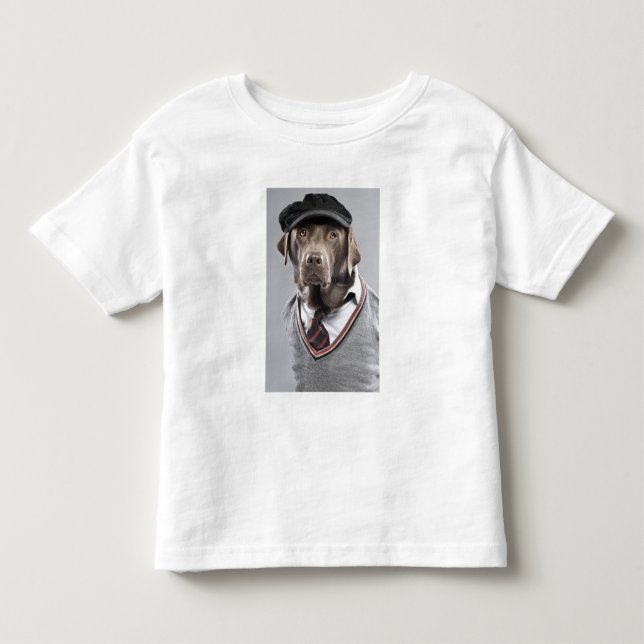 Dog in sweater and cap (Front)