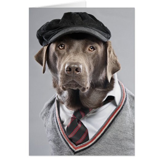 Dog in sweater and cap cards (Front)