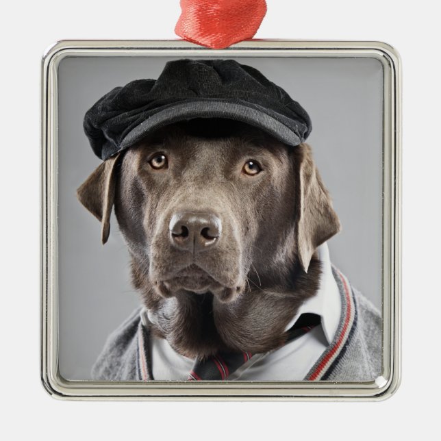 Dog in sweater and cap metal ornament (Front)